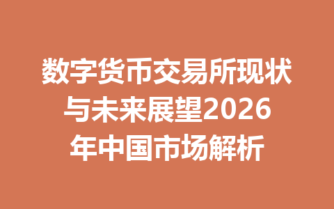 数字货币交易所现状与未来展望2026年中国市场解析