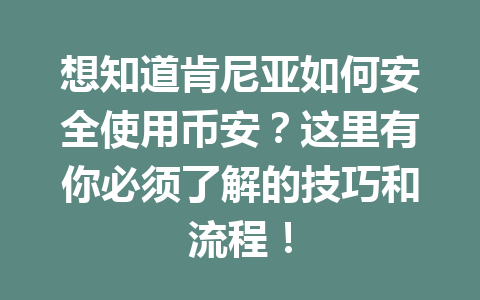 想知道肯尼亚如何安全使用币安?这里有你必须了解的技巧和流程!