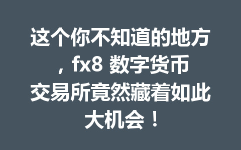 这个你不知道的地方，fx8 数字货币交易所竟然藏着如此大机会！