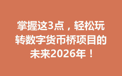 掌握这3点,轻松玩转数字货币桥项目的未来2026年!